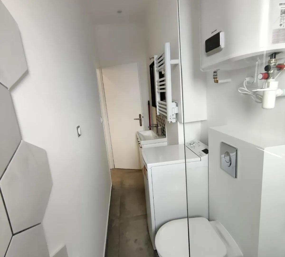 Appartement Loft Chic Avec Mezzanine Contemporaine à Vénissieux France